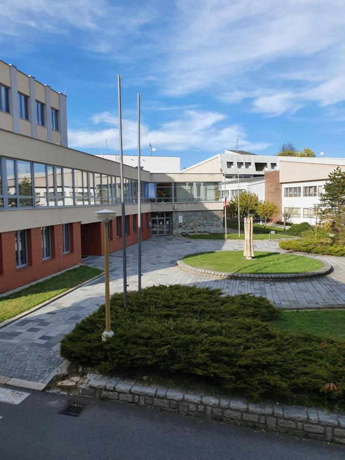 Apartmany U Lva Prachatice Kültér fotó